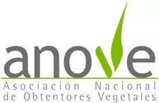 Anove Logotipo