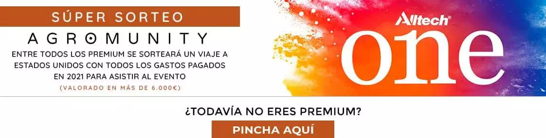 Banner 1-2