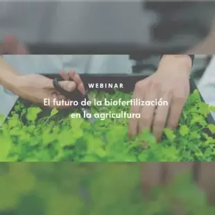 BioFertilizantes
