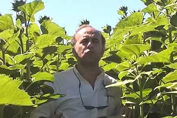 Agustín Murillo