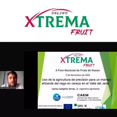 Carlos Campillo Cicytex