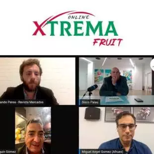Mesa Redonda Xtrema Fruit