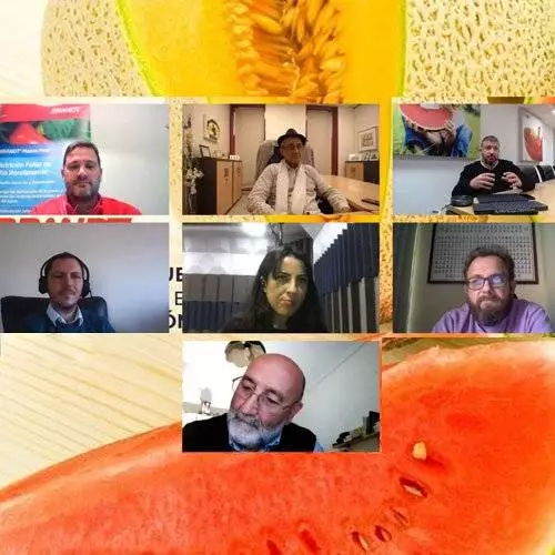 Melón y Sandía img