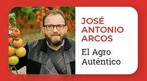 José Antonio Arcos img