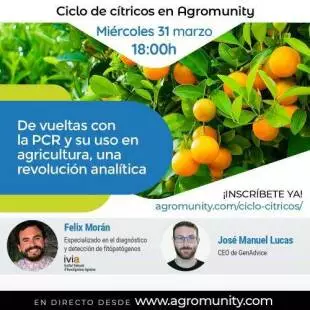 De vueltas con la PCR