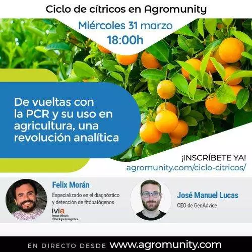 De vueltas con la PCR