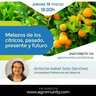 Charla Cítricos