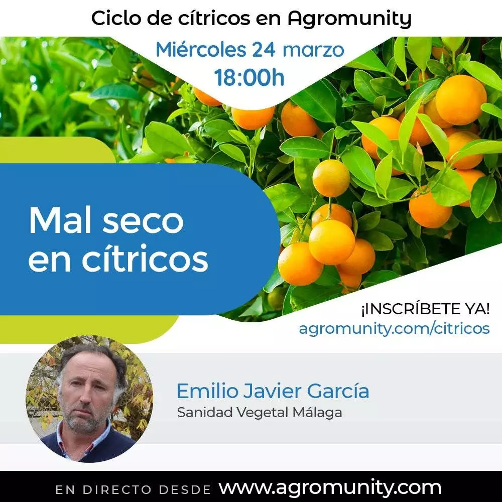 Charla Cítricos