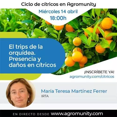 María Teresa Martínez Cítricos