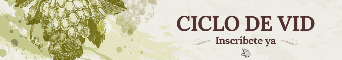 Ciclo Vid banner