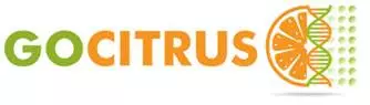 Go Citrus Logo