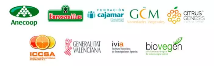 logotipos gocitrus