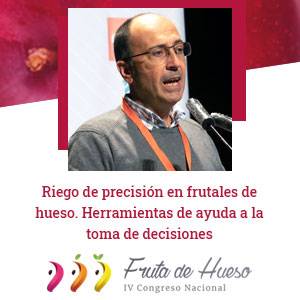Pedro Nortes img